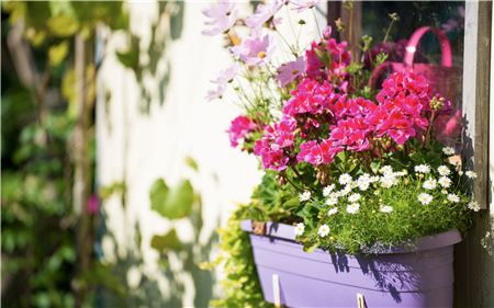 EM-Balkon-013
